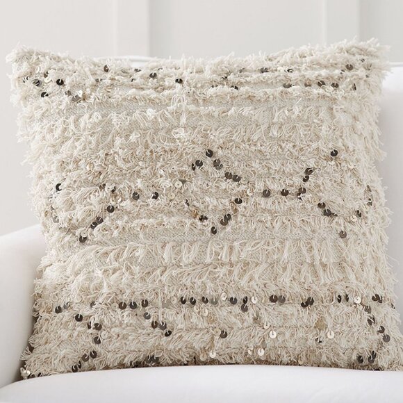 Pottery Barn cushion covers - Picture 14 of 16